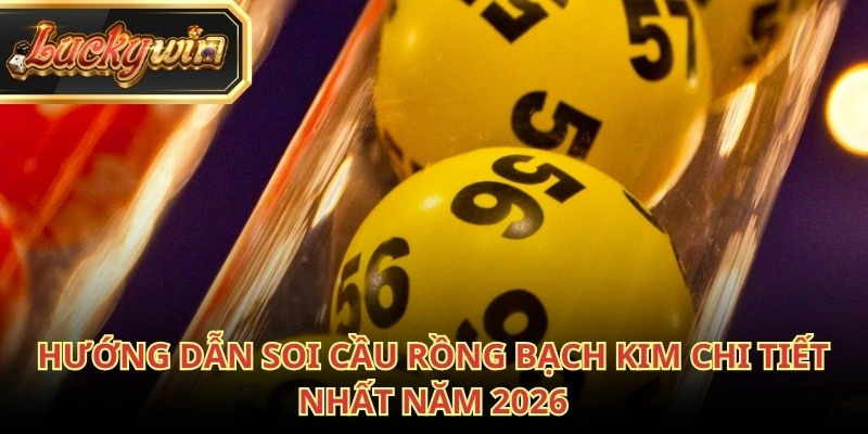 Rồng Bạch Kim hỗ trợ bằng cách trình bày dữ liệu rõ ràng, dễ đối chiếu