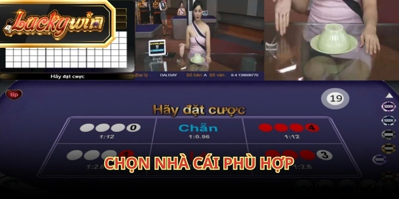 Việc lựa chọn nền tảng uy tín giữ vai trò then chốt khi tham gia xóc đĩa online